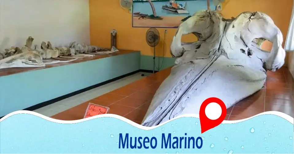 Museo Marino Comunitario de Tecolutla