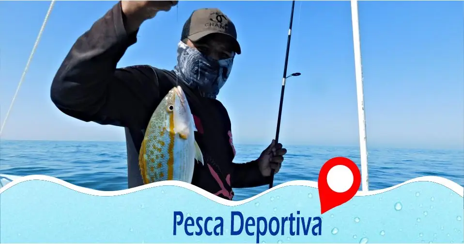 Pesca Deportiva mar adentro en lanchas Tecolutla
