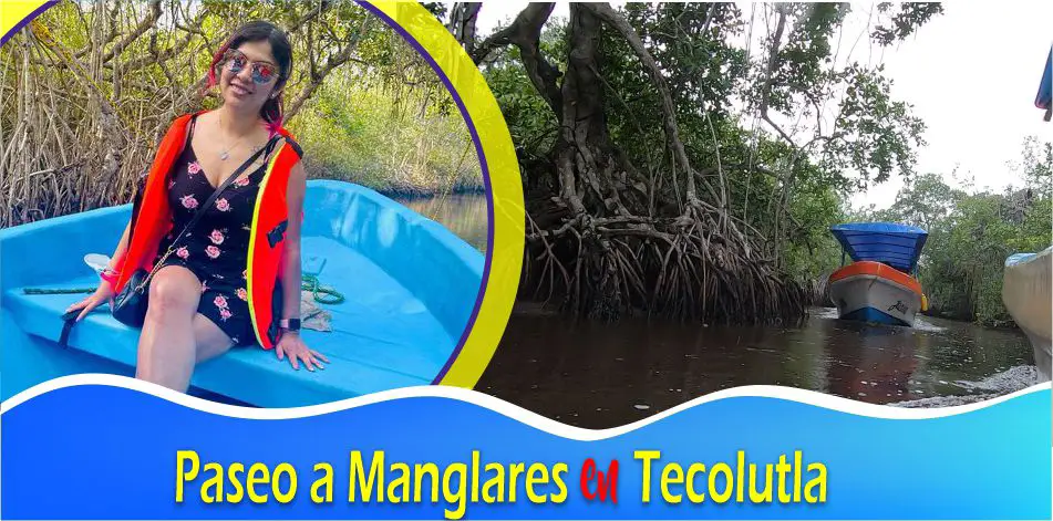 Visitas guiadas con hermosos paisajes, fauna, flora Manglares de Tecolutla