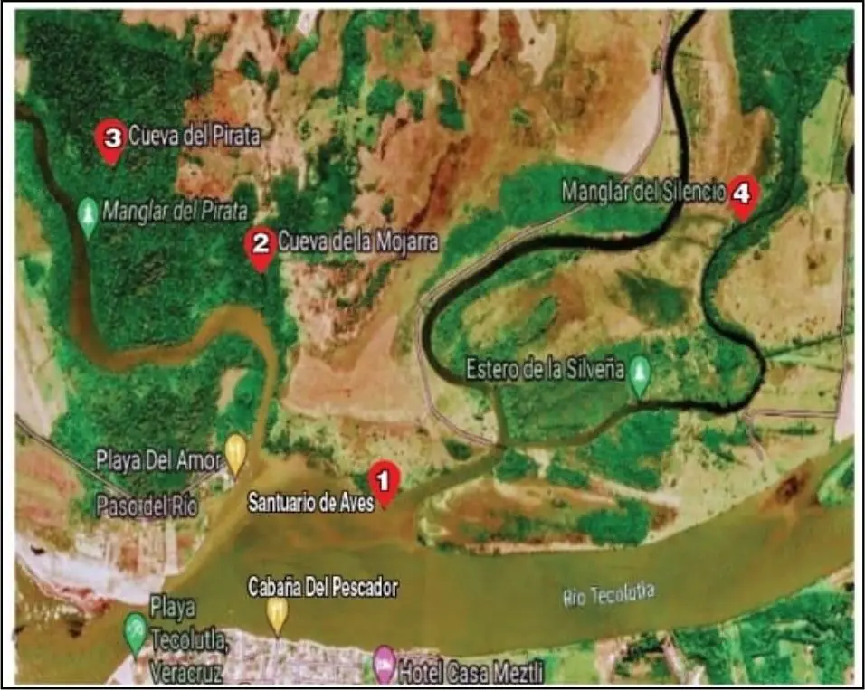 Recorridos a Manglares