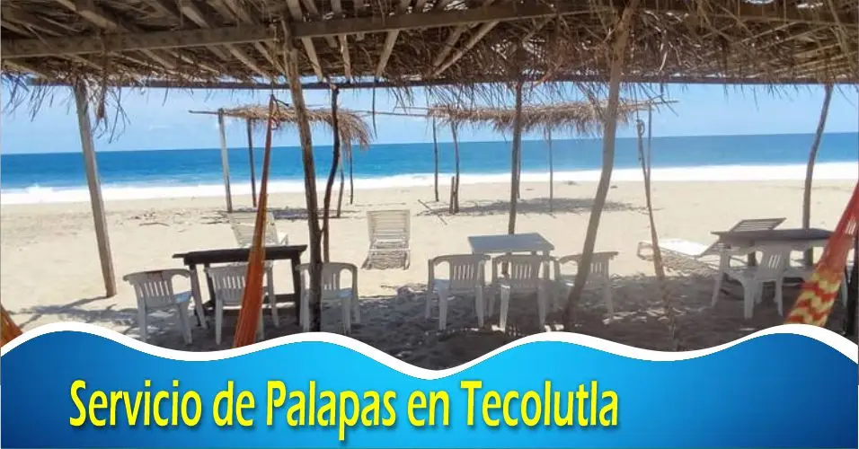 Servicio de Palapas